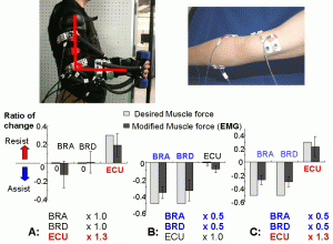 musclecontrol6