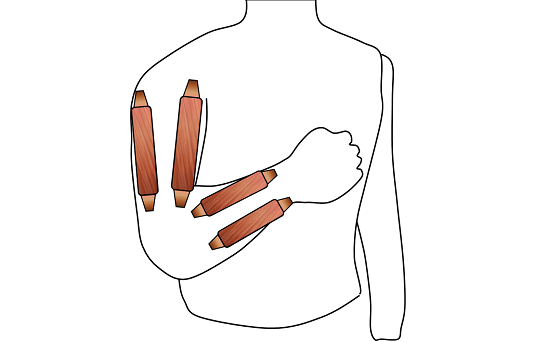 muscle pairs